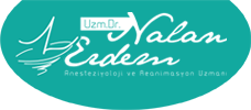 Nalan Erdem Logo